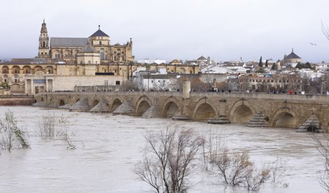 notibrasil política