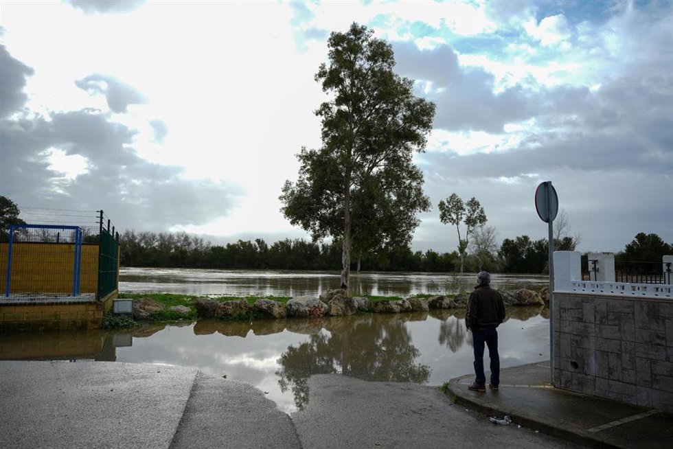 Imágenes del río Guadalete a su paso por la barriada de la Corta el pasado 30 de enero tras las lluvias.