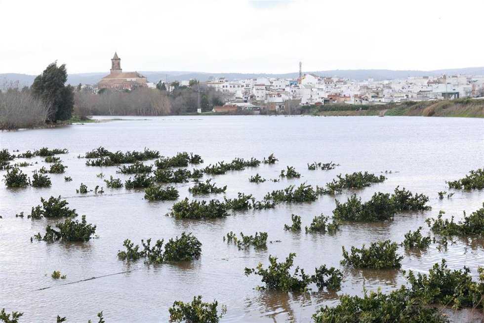 Crecida del río Guadalquivir a su paso por el pueblo sevillano de Cantillana.