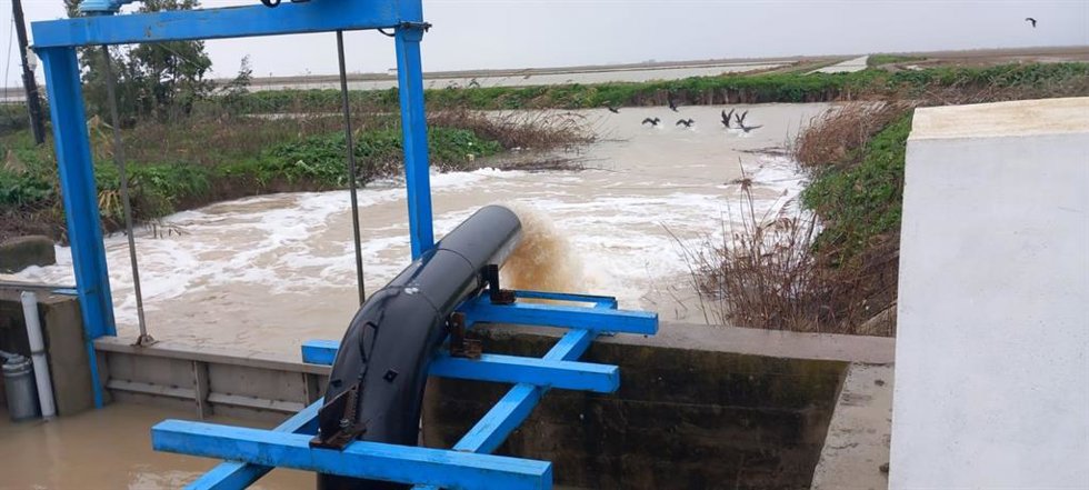 Labores de desembalse en el arroyo del Salado, a su paso por Utrera.