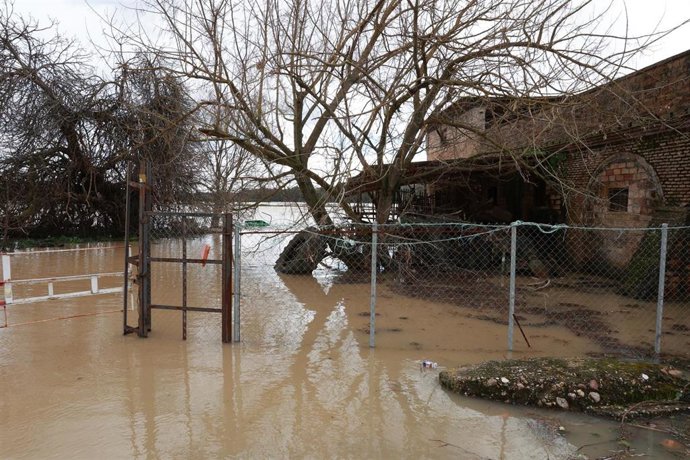 Crecida del río Guadalquivir a su paso por el pueblo sevillano de Lora del Río. 