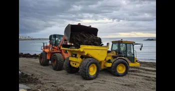 El Ayuntamiento de Marbella retira en un solo día 374 toneladas de alga invasora en la playa de Nueva Andalucía