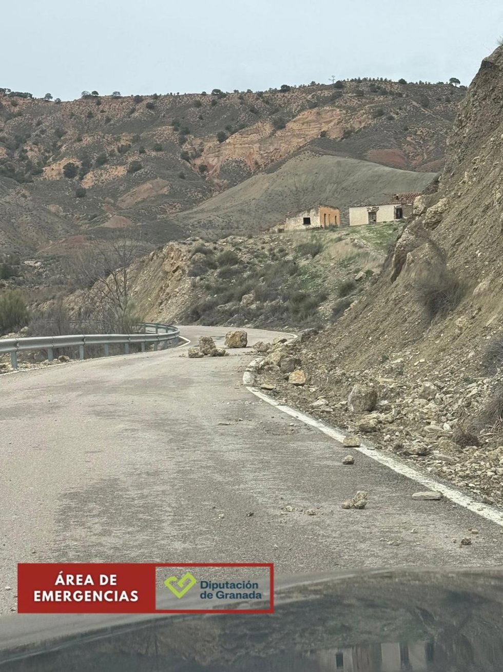 Corte GR-5103 Fonelas.