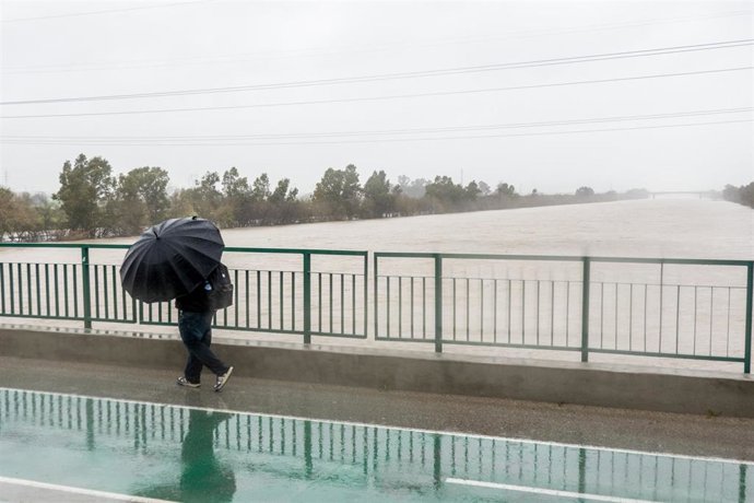 Imagen de archivo de viandante protegiéndose de la lluvia y el viento.