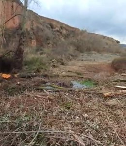 Ecologistas en Acción critica que "el Gobierno de La Rioja destroza las riberas del Cidacos a su paso por Herce"