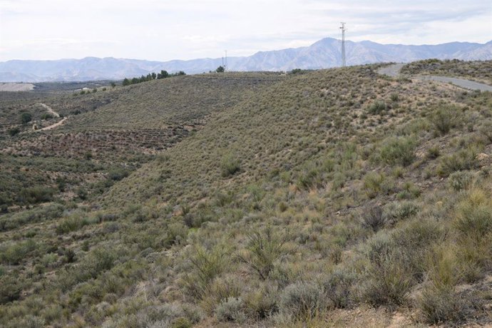 Ladera del paraje Los Guapos, en Sorbas (Almería).