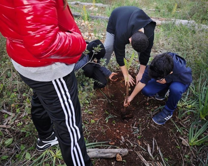 Escolares participan en una actividad de reforestación de la Xarxa Forestal.