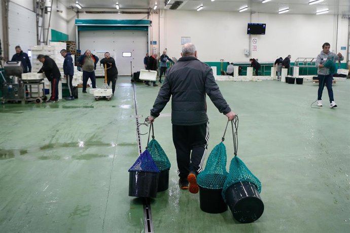 Archivo - Varias personas durante la última subasta antes de la Nochebuena, en la lonja de marisco, a 19 de diciembre de 2024, en Burela, Lugo, Galicia (España). Las subastas de marisco arrancaron este martes 17 de diciembre en la lonja de Burela, donde h