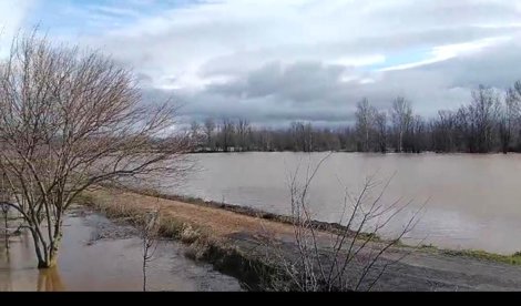 notibrasil política