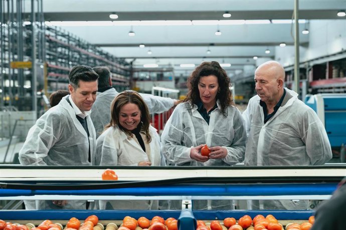 Archivo - La alcaldesa de Almería visita una cooperativa almeriense dedicada a la comercialización de tomates.