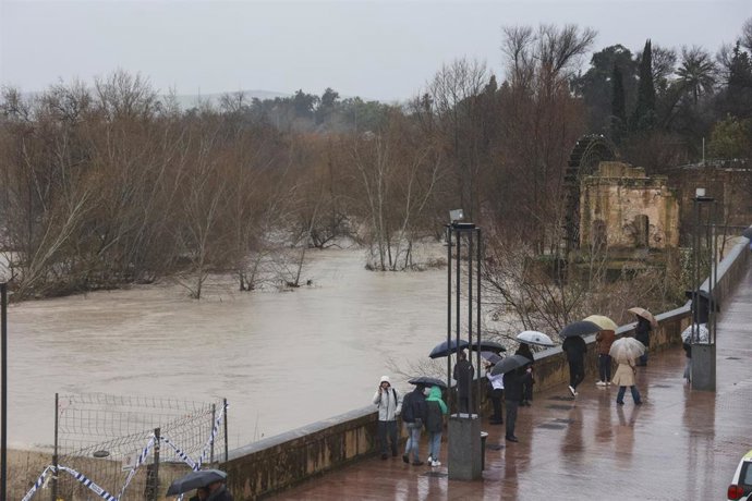 El paso del Río Guadalquivir por Córdoba.