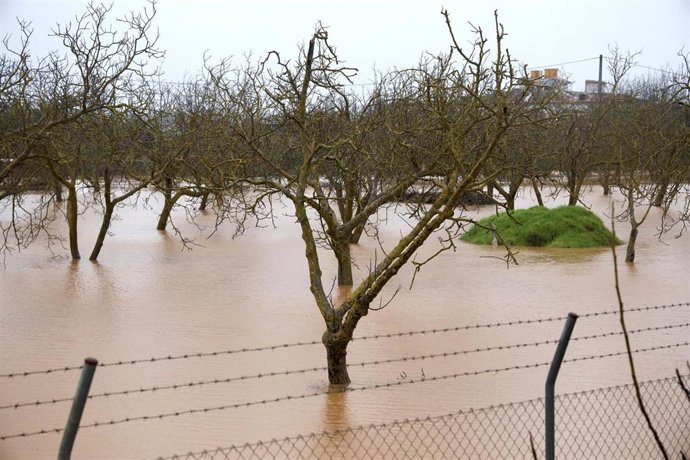 Imagen de campos anegados de agua por las fuertes lluvias que ha provocado la borrasca Leonardo a su paso por Ronda (Málaga). A 4 de febrero de 2026 en Ronda, Málaga (Andalucía, España). 