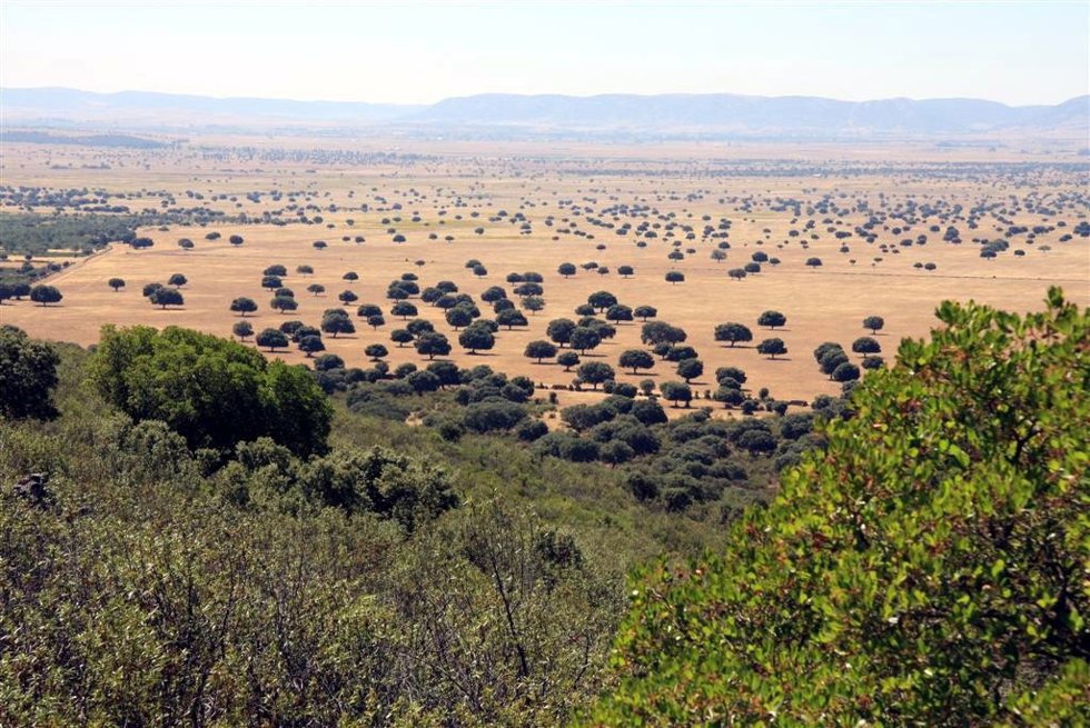 Parque Nacional de Cabañeros.