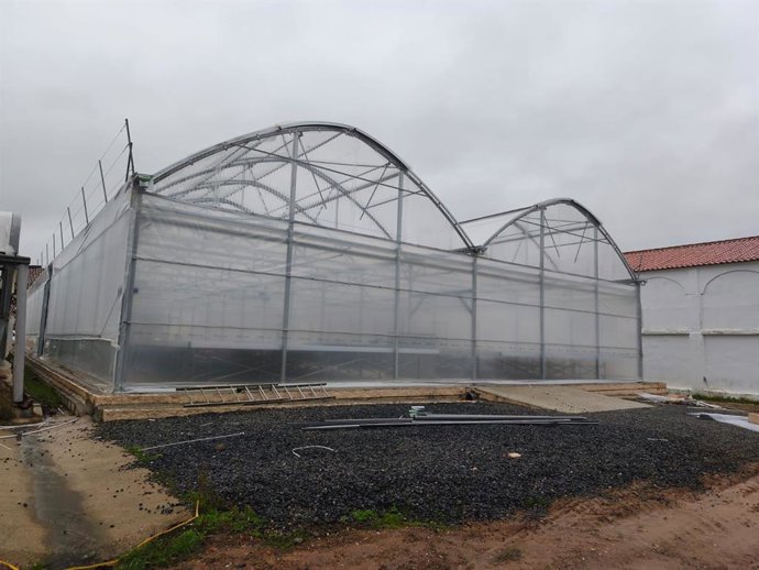 Instalaciones del nuevo invernadero que la Diputación de Cáceres está construyendo en la finca Haza de la Concepción de Malpartida de Plasencia