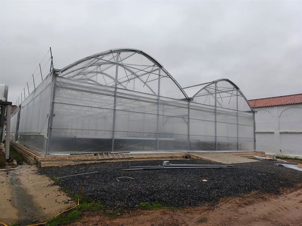 Instalaciones del nuevo invernadero que la Diputación de Cáceres está construyendo en la finca Haza de la Concepción de Malpartida de Plasencia