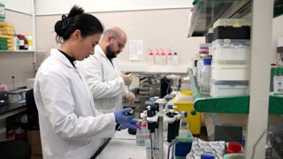 Investigadores trabajando en el laboratorio