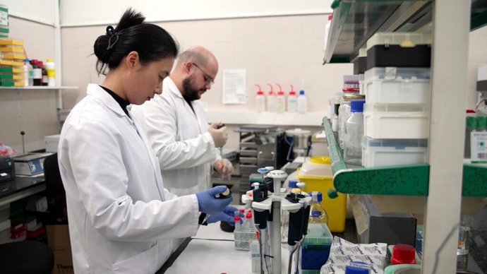 Investigadores trabajando en el laboratorio