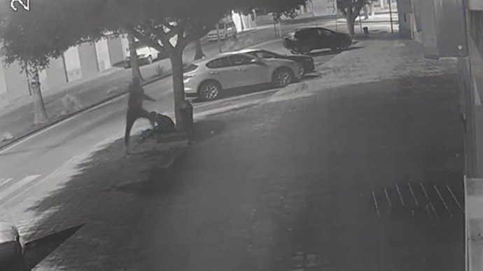 Fotograma de las cámaras de seguridad que recoge la agresión a la víctima en Campohermoso, en Níjar (Almería).