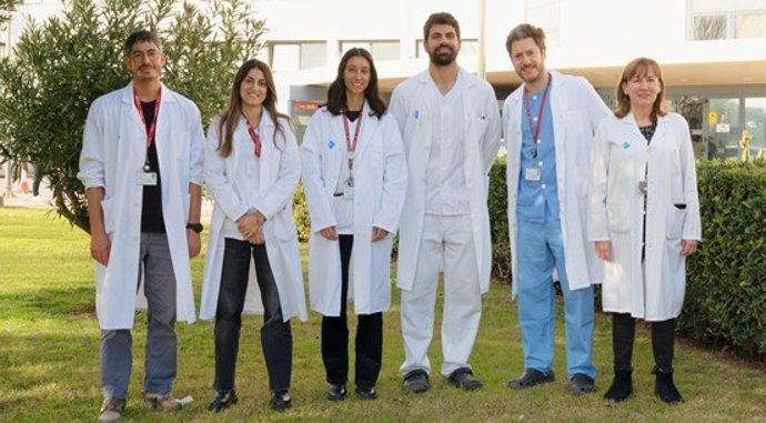 El equipo investigador