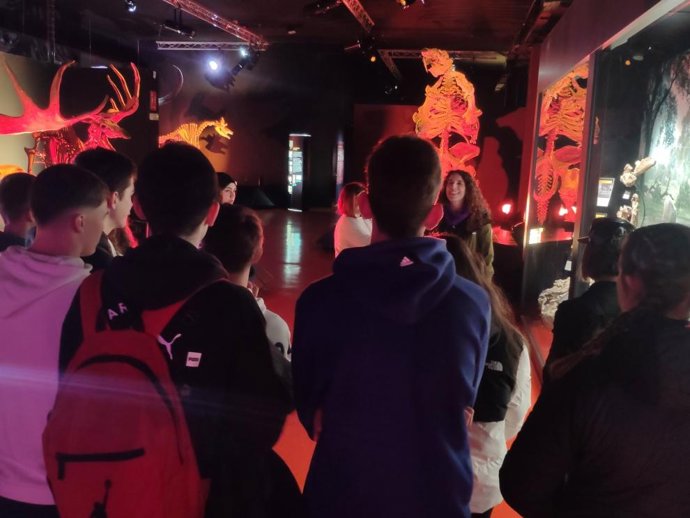 Una de las actividades realizadas en anteriores ediciones.