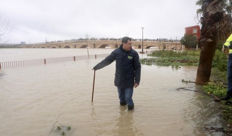 Es Andalucía - Sevilla