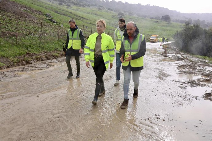 La presidenta de la Diputación de Cádiz, Almudena Martínez del Junco, acompañada del alcalde de Grazalema, Carlos Javier García, inspeccionando una carretera afectada por el temporal.