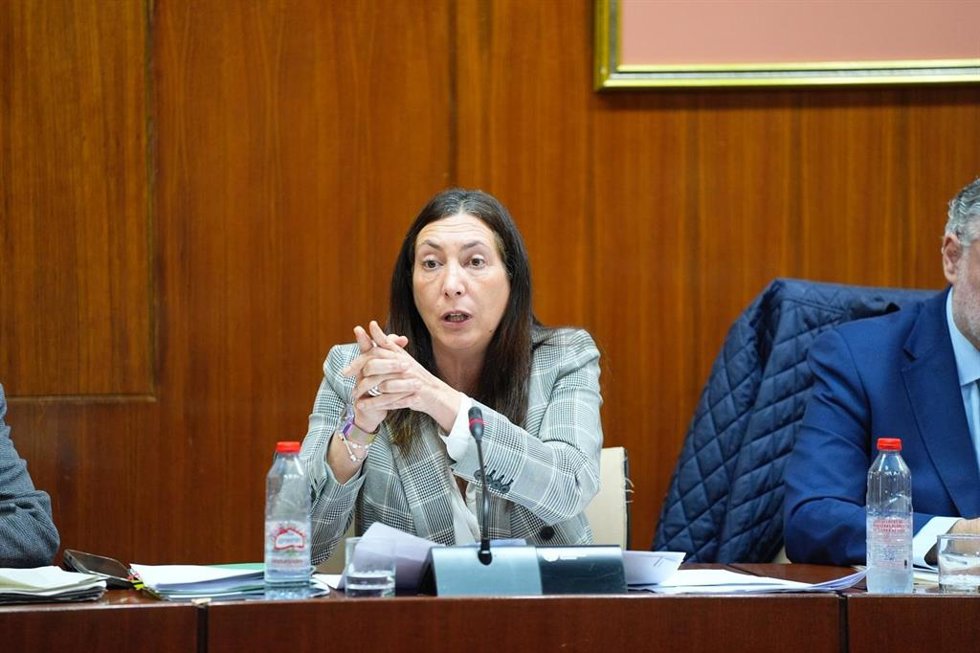 La consejera de Inclusión Social, Loles López, en la comisión parlamentaria del 9 de febrero de 2026.