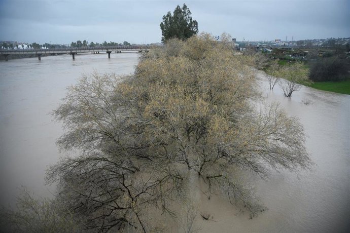 Desbordamiento parcial del río Guadalquivir a su paso por la Cartuja.