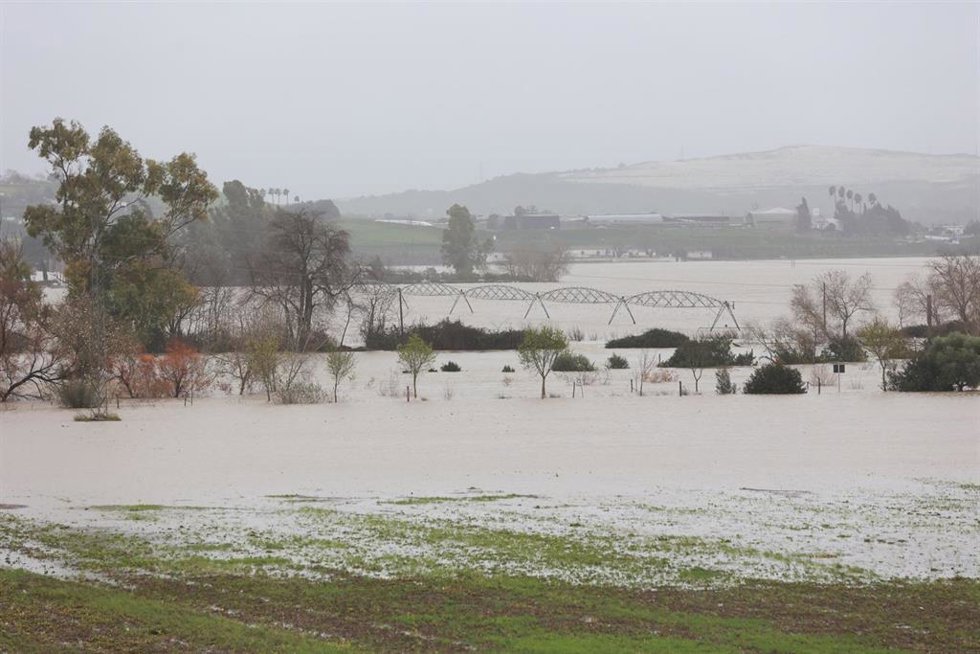 Imagen de la vega del Guadalete inundada tras el desbordamiento del río a su paso por Jerez.