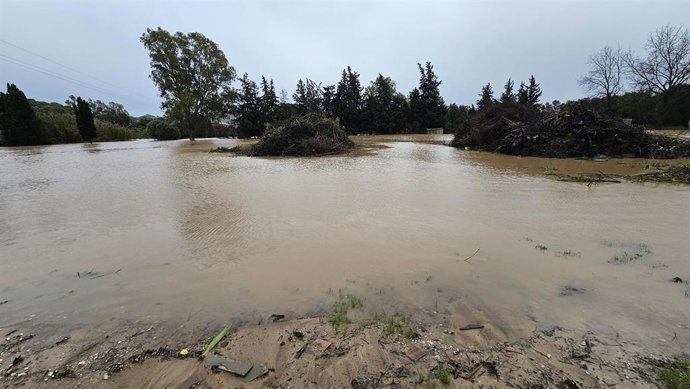Ribera del río Hozgarganta inundada a su paso por Jimena de la Frontera (Cádiz). A 5 de febrero de 2026, en Jimena de la Frontera, Cádiz (Andalucía, España).ARCHIVO.