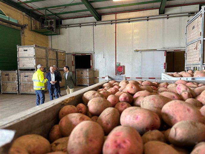 Archivo - El Cabildo de Tenerife destina 250.000 euros a combatir la polilla de la papa