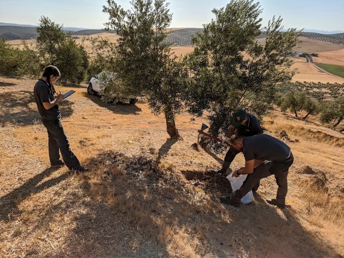 Investigadores realizan labores de muestreo en una de las fincas adheridas al proyecto