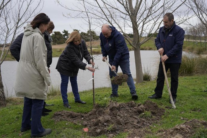 El presidente de la Diputación, Miguel Ángel de Vicente, durante una plantación del Día del Árbol 2025.
