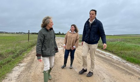 notibrasil política