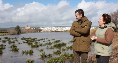Es Andalucía - Sevilla