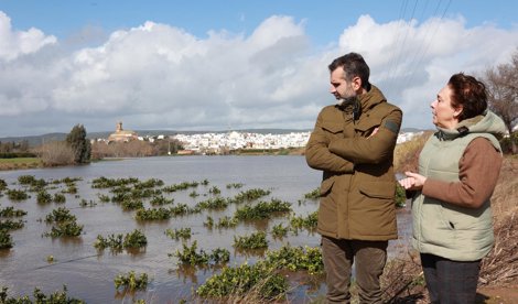 Es Andalucía - Sevilla