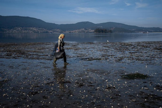 Archivo - Una mujer camina por la ensenada de San Simón, Rías Baixas, a 17 de noviembre de 2023, Pontevedra, Galicia (España).