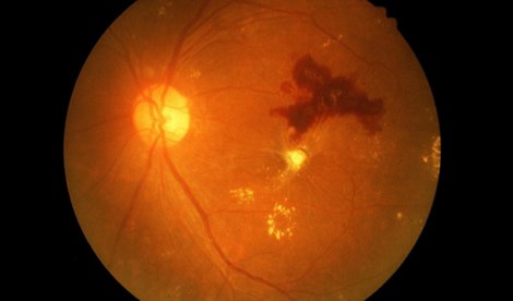 notibrasil sociedade