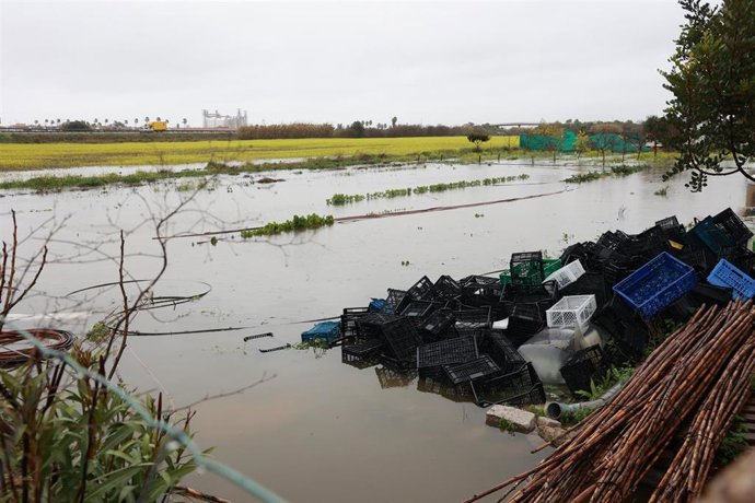 Explotaciones agrícolas inundadas tras el desbordamiento del río Guadalete a su paso por Jerez.