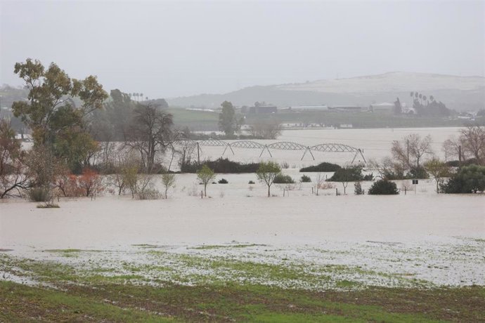 Imagen de la vega del Guadalete inundada tras el desbordamiento del río a su paso por la localidad gaditana de Jerez de la Frontera.