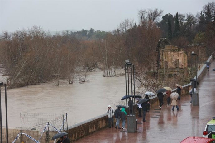 Crecida del río Guadalquivir, a su paso por Córdoba este pasado fin de semana, durante el temporal.