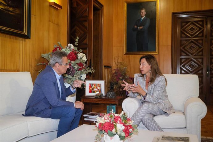 Archivo - El portavoz del grupo municipal de Vox en el Ayuntamiento de Zaragoza, Julio Calvo, con la alcaldesa de Zaragoza, Natalia Chueca.