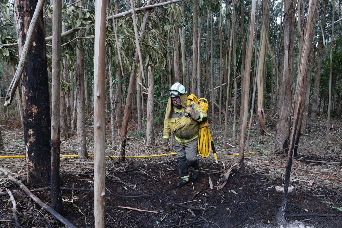 El fuego arrasó 294 hectáreas en España en enero de 2026, casi ocho veces menos que la media de la década del mes