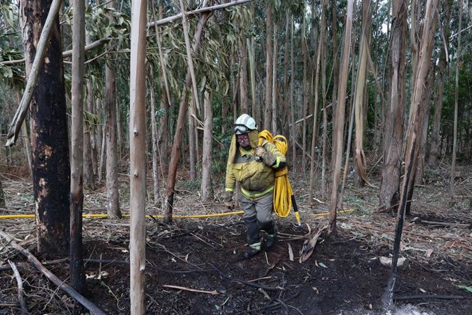 Archivo - Bomberos trabajan en las tareas de extinción del incendio forestal en Cervo, a 5 de noviembre de 2025, en Cervo, Lugo, Galicia (España). 