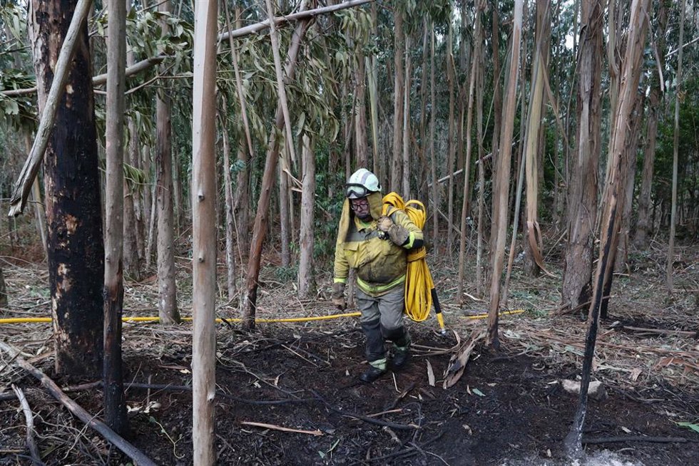 Archivo - Bomberos trabajan en las tareas de extinción del incendio forestal en Cervo, a 5 de noviembre de 2025, en Cervo, Lugo, Galicia (España). 