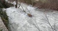El caudal del río Castril (Granada) deja atrás el aviso rojo aunque persiste el peligro en los márgenes