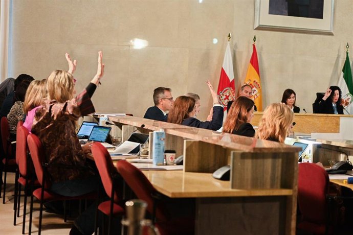 Pleno del Ayuntamiento de Almería durante la votación.