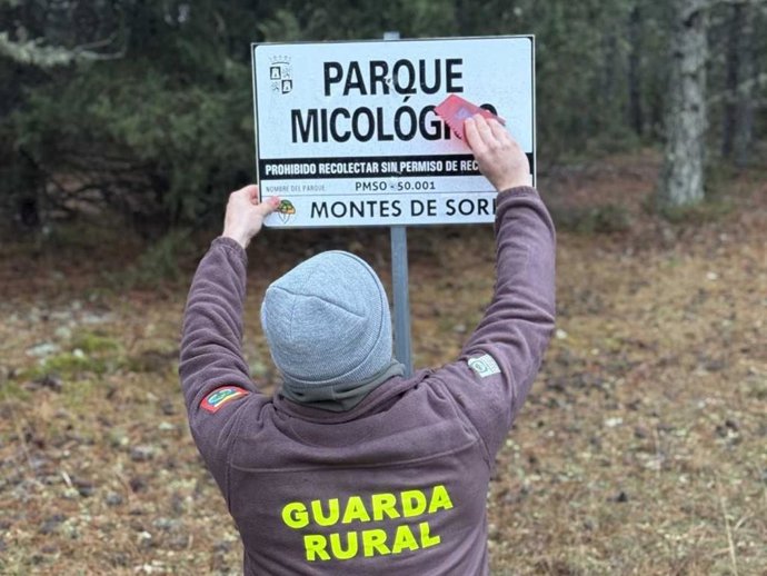 Regulación micológica en los Montes de Soria