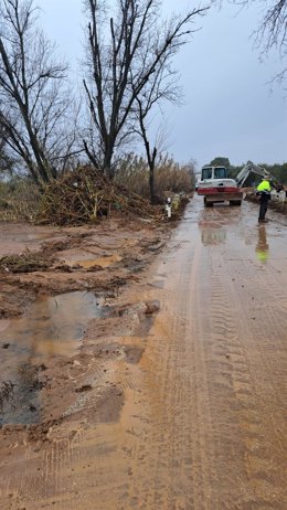 Trabajos para restablecer uno de los accesos afectados por los temporales.
