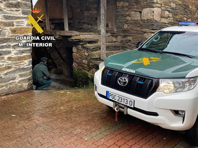 Agentes de la Guardia Civil encargados de la investigación encontraron en diversos lugares comida para gatos mezclada con insecticida en polvo.